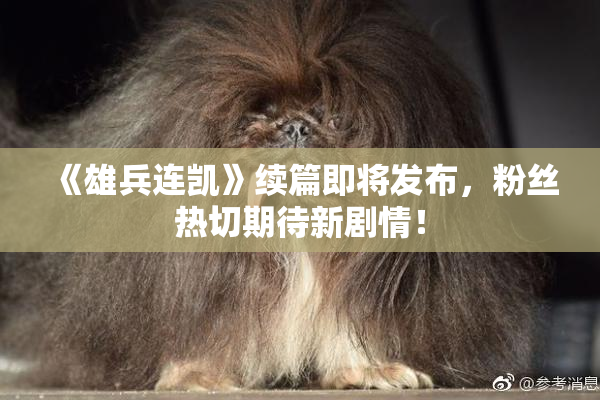 《雄兵连凯》续篇即将发布，粉丝热切期待新剧情！