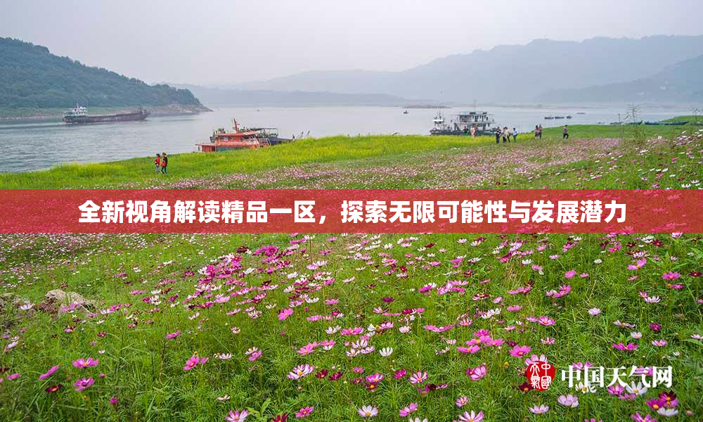 全新视角解读精品一区，探索无限可能性与发展潜力