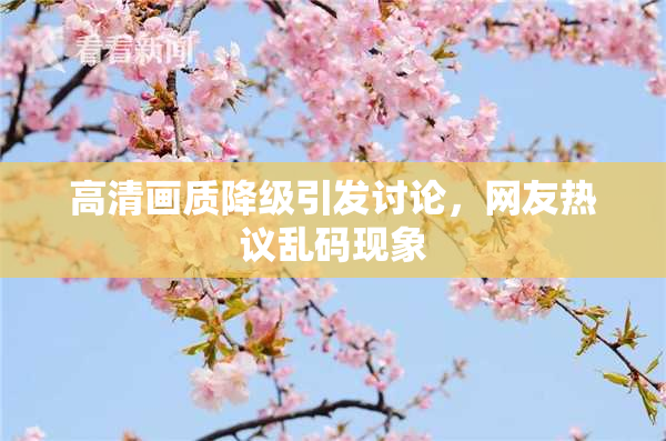 高清画质降级引发讨论，网友热议乱码现象