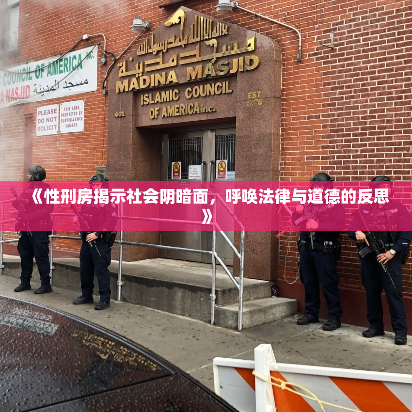 《性刑房揭示社会阴暗面，呼唤法律与道德的反思》
