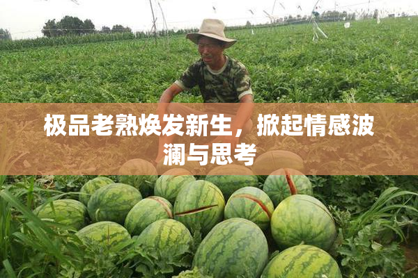 极品老熟焕发新生，掀起情感波澜与思考