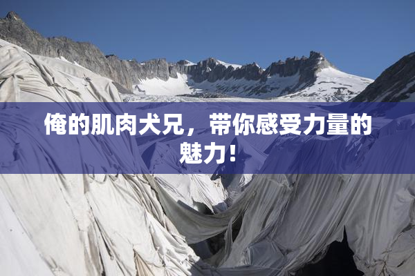 俺的肌肉犬兄，带你感受力量的魅力！