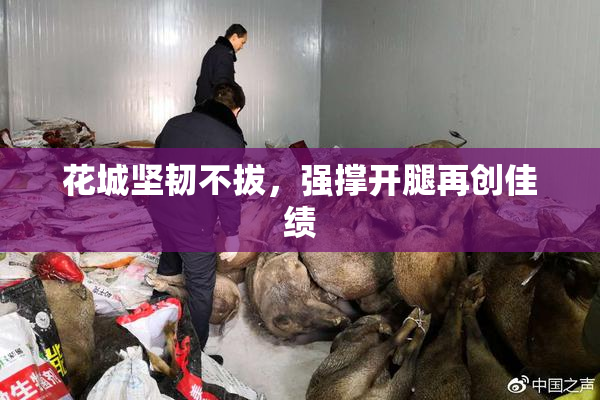 花城坚韧不拔，强撑开腿再创佳绩
