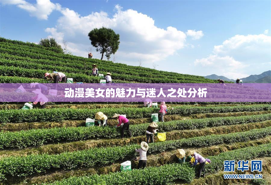 动漫美女的魅力与迷人之处分析
