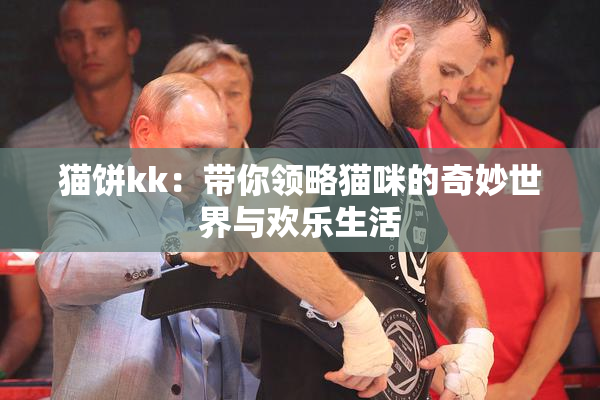 猫饼kk：带你领略猫咪的奇妙世界与欢乐生活