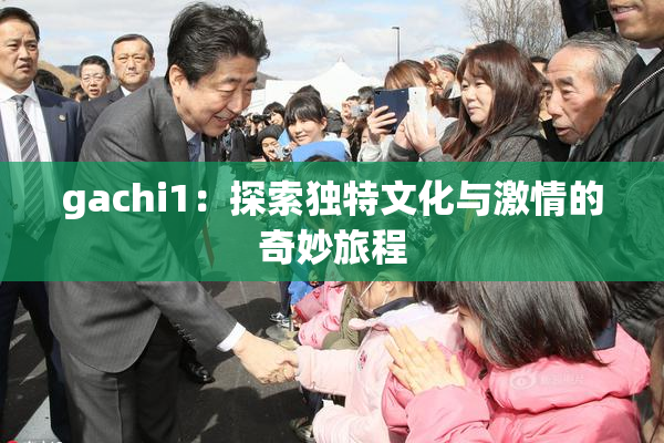 gachi1：探索独特文化与激情的奇妙旅程