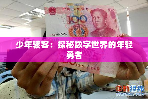 少年骇客：探秘数字世界的年轻勇者