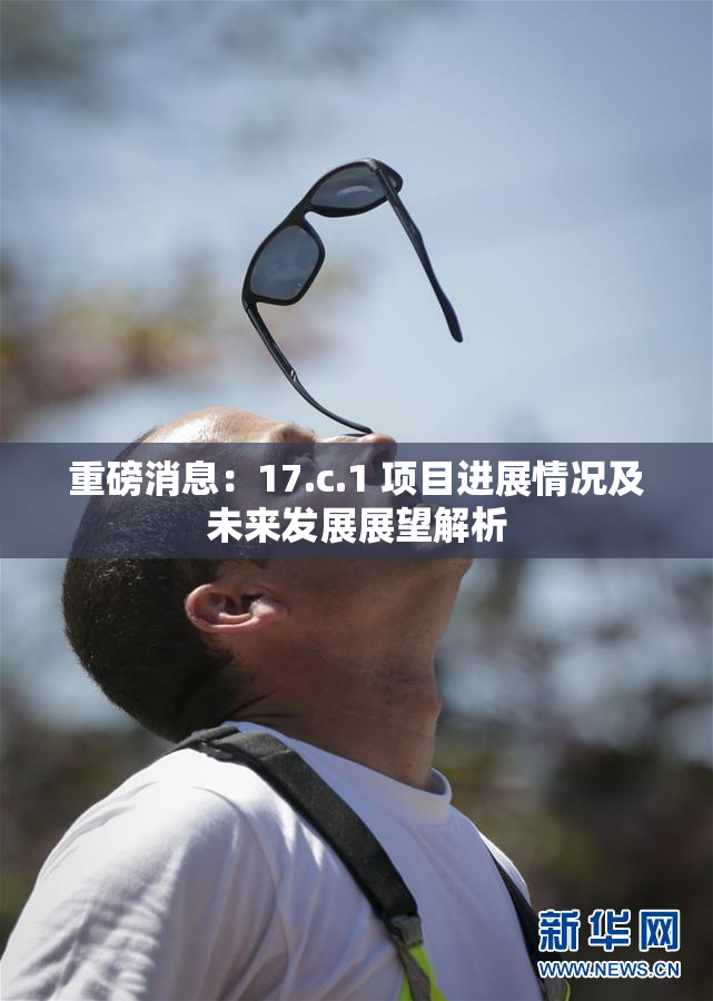 重磅消息：17.c.1 项目进展情况及未来发展展望解析