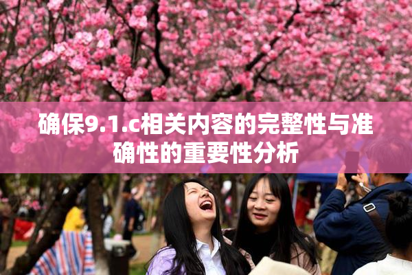 确保9.1.c相关内容的完整性与准确性的重要性分析