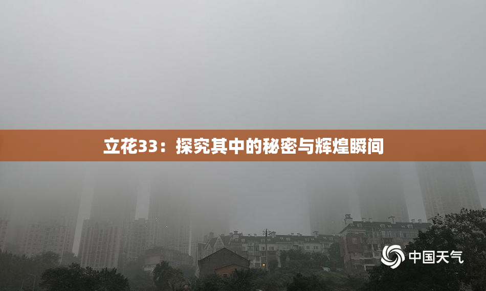 立花33：探究其中的秘密与辉煌瞬间