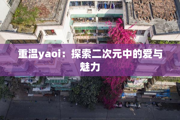 重温yaoi：探索二次元中的爱与魅力