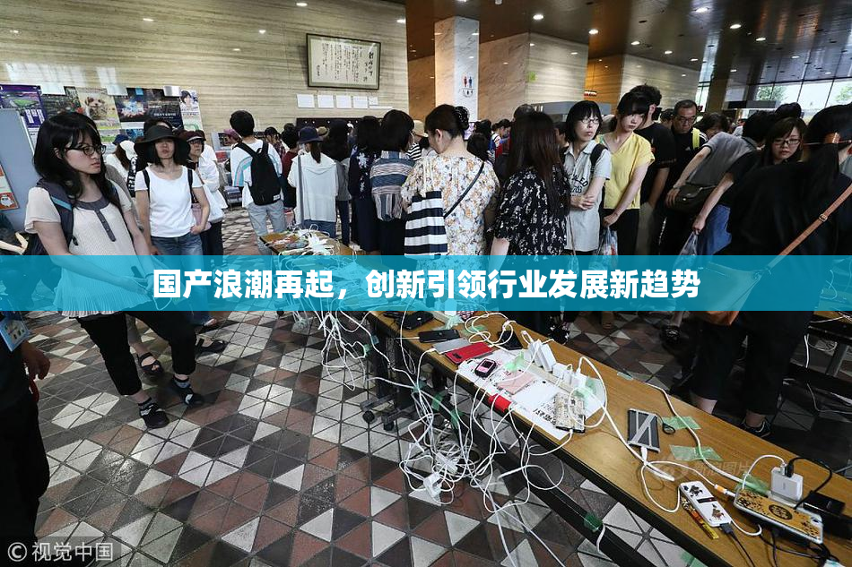 国产浪潮再起，创新引领行业发展新趋势