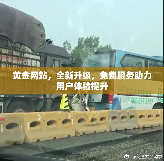 黄金网站，全新升级，免费服务助力用户体验提升