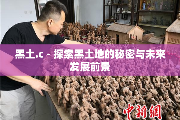 黑土.c - 探索黑土地的秘密与未来发展前景