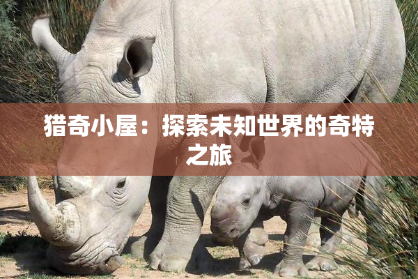 猎奇小屋：探索未知世界的奇特之旅