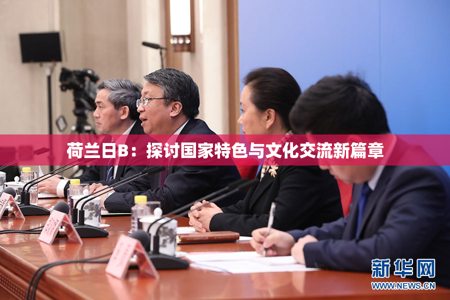 荷兰日B：探讨国家特色与文化交流新篇章
