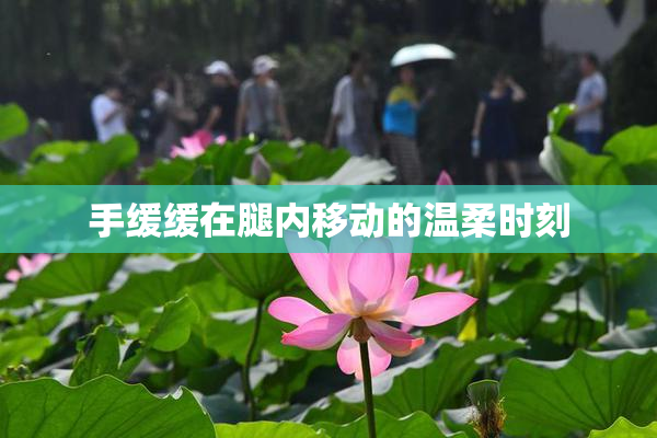 手缓缓在腿内移动的温柔时刻