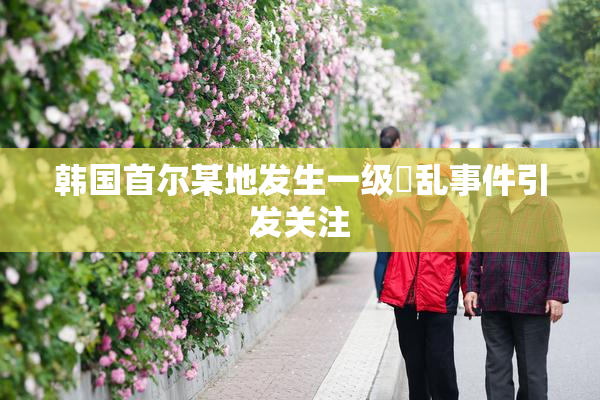 韩国首尔某地发生一级婬乱事件引发关注