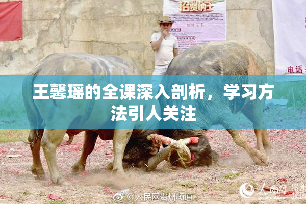 王馨瑶的全课深入剖析，学习方法引人关注
