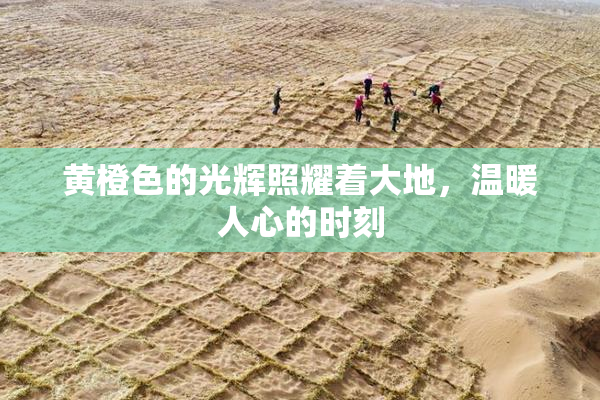 黄橙色的光辉照耀着大地，温暖人心的时刻
