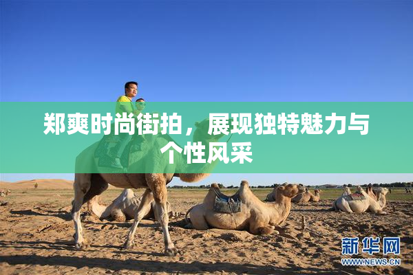 郑爽时尚街拍，展现独特魅力与个性风采