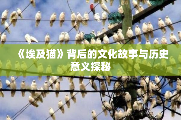《埃及猫》背后的文化故事与历史意义探秘