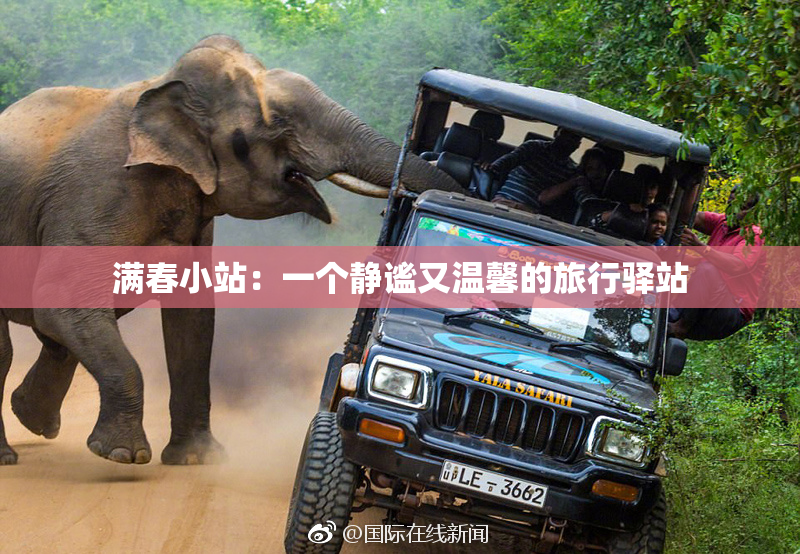 满春小站：一个静谧又温馨的旅行驿站