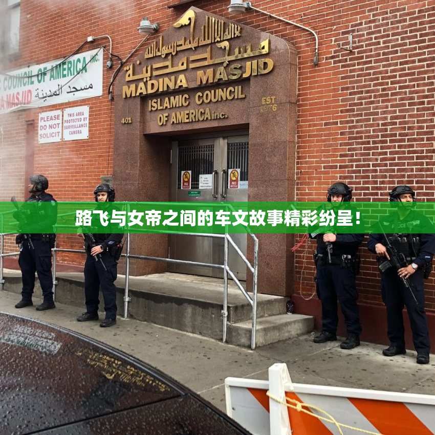 路飞与女帝之间的车文故事精彩纷呈！