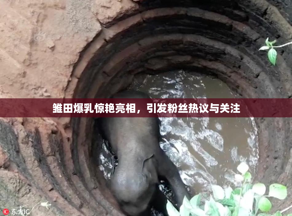 雏田爆乳惊艳亮相，引发粉丝热议与关注