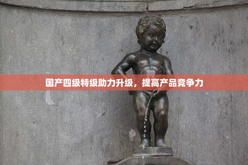 国产四级特级助力升级，提高产品竞争力