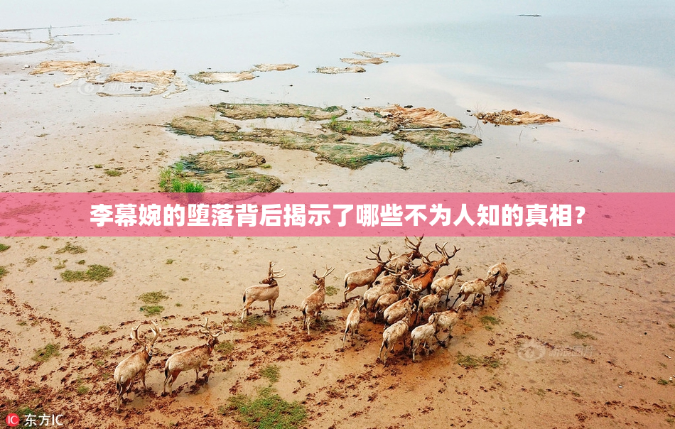 李幕婉的堕落背后揭示了哪些不为人知的真相？