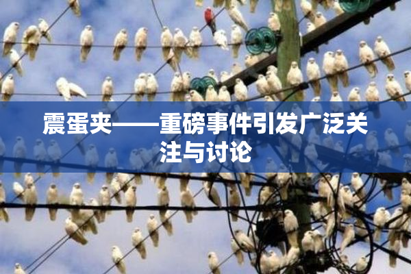 震蛋夹――重磅事件引发广泛关注与讨论