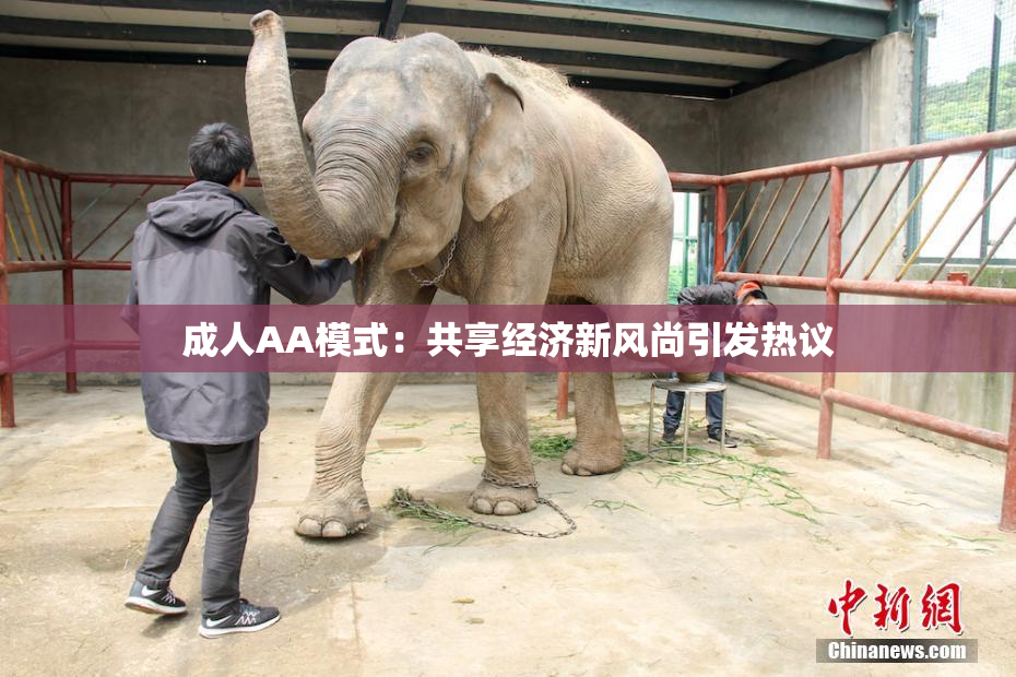 成人AA模式：共享经济新风尚引发热议