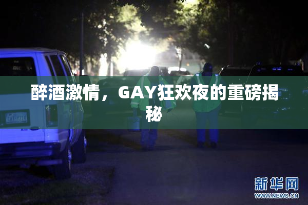 醉酒激情，GAY狂欢夜的重磅揭秘