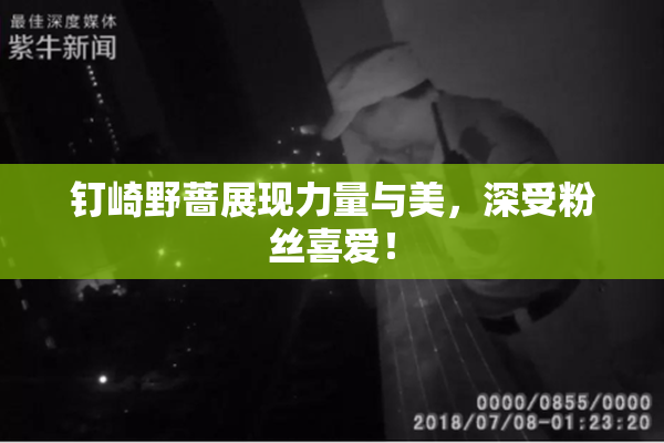 钉崎野蔷展现力量与美，深受粉丝喜爱！