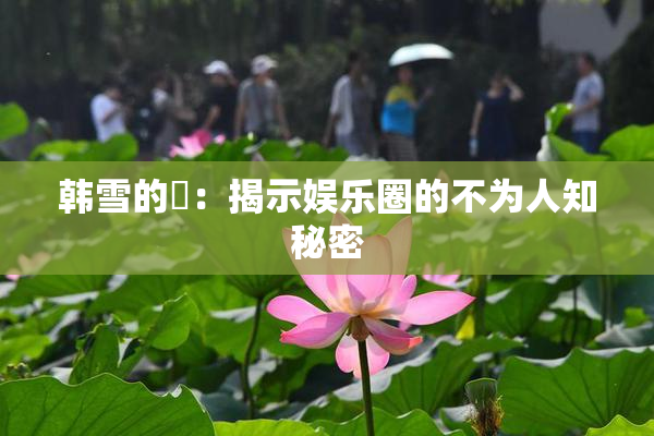 韩雪的婬：揭示娱乐圈的不为人知秘密