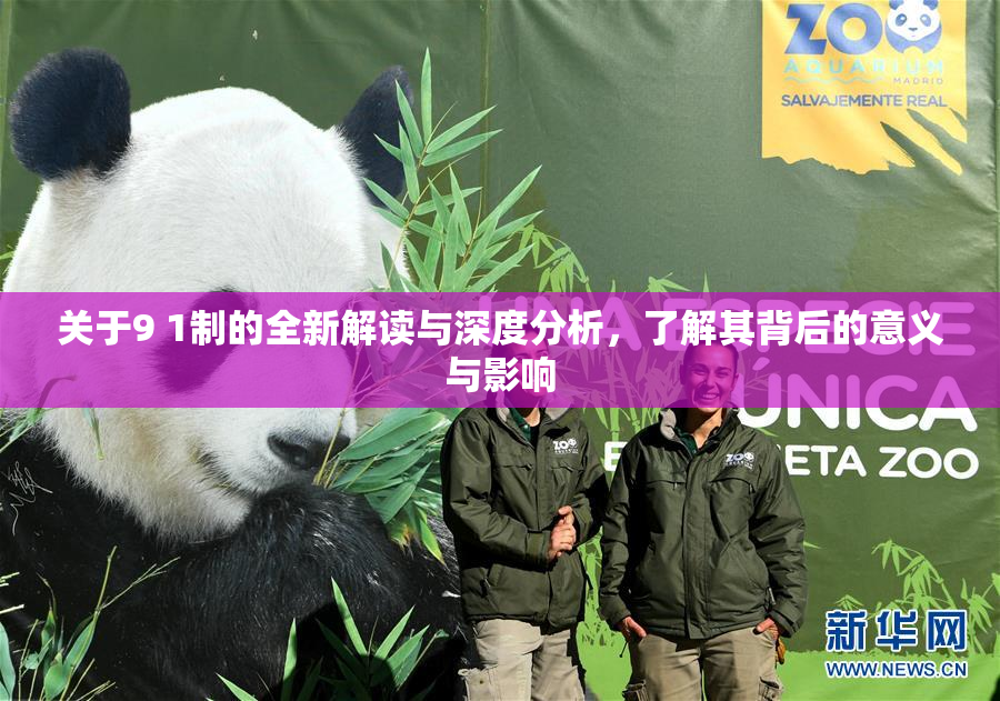 关于9 1制的全新解读与深度分析，了解其背后的意义与影响