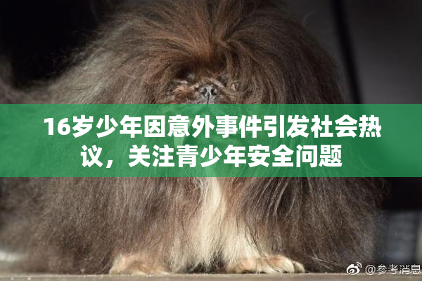 16岁少年因意外事件引发社会热议，关注青少年安全问题