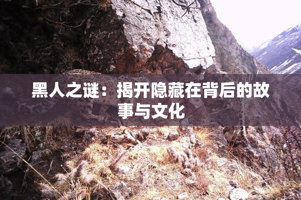 黑人之谜：揭开隐藏在背后的故事与文化
