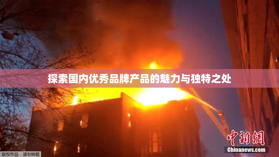 探索国内优秀品牌产品的魅力与独特之处