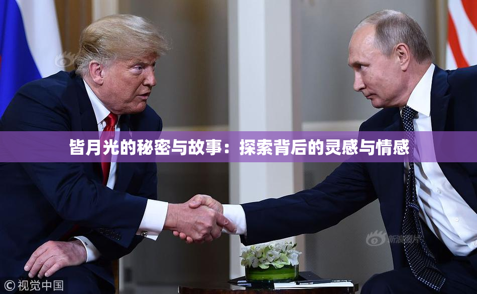皆月光的秘密与故事：探索背后的灵感与情感