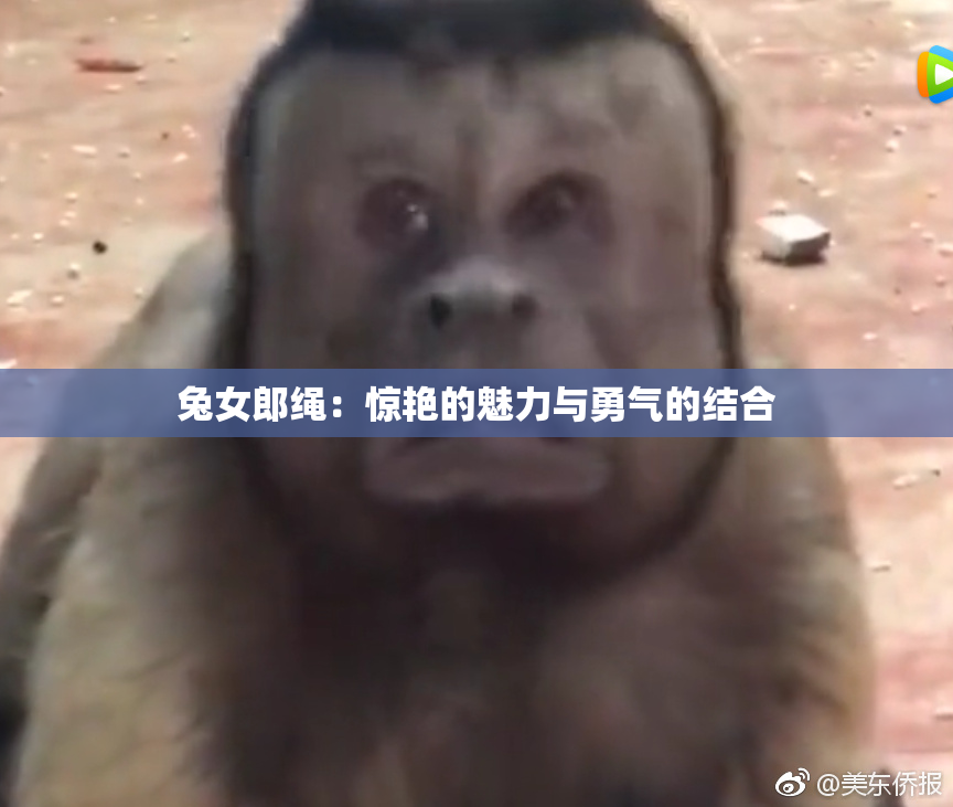 兔女郎绳：惊艳的魅力与勇气的结合