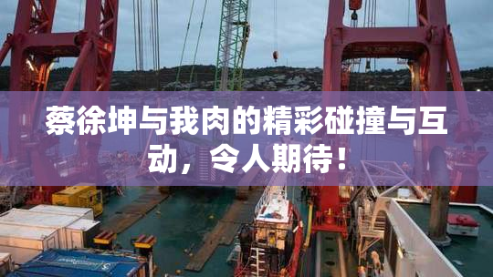 蔡徐坤与我肉的精彩碰撞与互动，令人期待！
