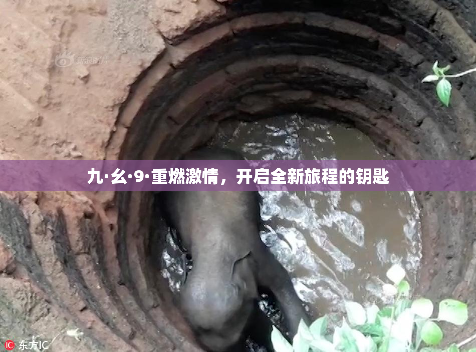 九·幺·9·重燃激情，开启全新旅程的钥匙