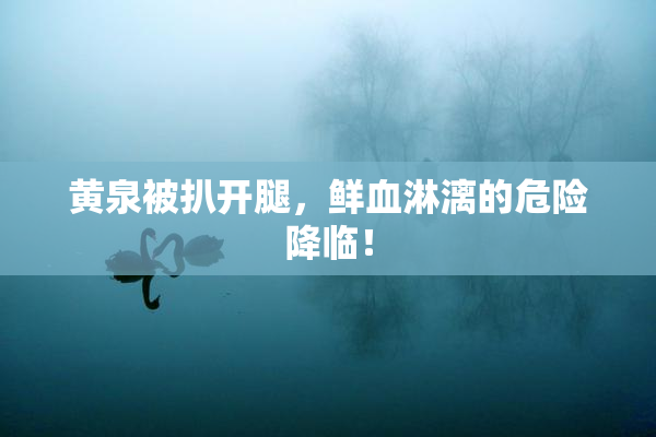 黄泉被扒开腿，鲜血淋漓的危险降临！
