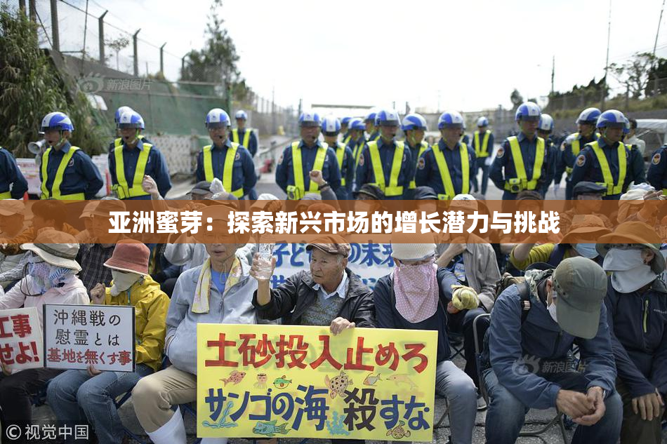 亚洲蜜芽：探索新兴市场的增长潜力与挑战