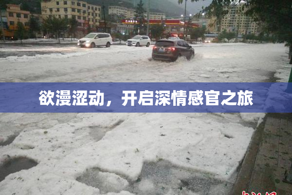 欲漫涩动，开启深情感官之旅