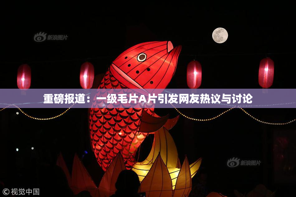 重磅报道：一级毛片A片引发网友热议与讨论