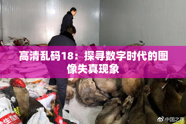 高清乱码18：探寻数字时代的图像失真现象