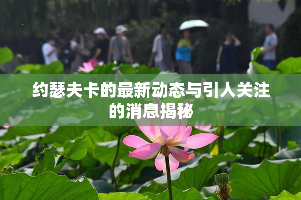 约瑟夫卡的最新动态与引人关注的消息揭秘
